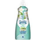 Coccolatevi Muschio Bianco płyn do płukania 50 dawek 1250 ml