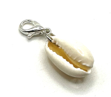Muszla Kauri amulet naturalny 21 x 15 mm szczęście - płodność, 1 sztuka
