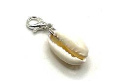 Muszla Kauri amulet naturalny 21 x 15 mm szczęście - płodność, 1 sztuka