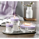 WoodWick Trilogy Amethyst Sky - Ametystové nebe vonná svíčka s dřevěným knotem a víčkem sklo velká 609,5 g
