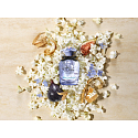 Dolce & Gabbana Dolce Blue Jasmine woda perfumowana dla kobiet 30 ml