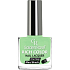 Golden Rose Rich Color Nail Lacquer lak na nehty 070 10,5 ml