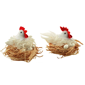 Slepička bílá střapatá v hnízdě 12 cm