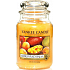 Yankee Candle Mango Peach Salsa - Salsa z manga a broskví vonná svíčka Classic velká sklo 623 g