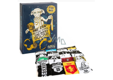 Epee Merch Harry Potter - Dobby Adventní kalendář 24 denní ponožkový