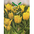 Nekupto Dárková papírová taška 23 x 18 x 10 cm Žluté tulipány 1 kus 951 01 BM