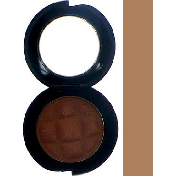 Astor Color Vision Eyehadow oční stíny 815 Gold In Fusion 2,5 g