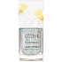Gabriella Salvete Flower Shop Longlasting Enamel dlouhotrvající lak na nehty s vysokým leskem 1 Narcissus 11 ml