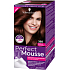 Schwarzkopf Perfect Mousse Permanent Foam Color barva na vlasy 388 Tmavě červenohnědý