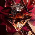 Lancome La Nuit Tresor Vanille Noire woda perfumowana dla kobiet 30 ml
