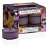 Yankee Candle Autumn Glow - Zářivý podzim vonná čajová svíčka 12 x 9,8 g