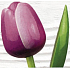 Bohemia Gifts Dřevěný tulipán fialovo-bílý 34 cm