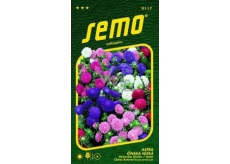 Semo Astra Čínská nízká Colour Carpet - směs 0,5 g