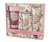 Somerset Toiletry Bílý Jasmín luxusní tělový krém 130 ml + sprchový gel 200 ml + luxusní krém na ruce 60 ml, kosmetická sada