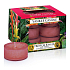 Yankee Candle Tropical Jungle - Tropická džungle vonná čajová svíčka 12 x 9,8 g