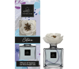 Lady Venezia Dream Cotone - Bawełna aromatyczny dyfuzor z kwiatem do stopniowego uwalniania zapachu 100 ml