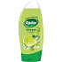 Radox Energise Limetka a máta sprchový gel 250 ml