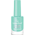 Golden Rose Color Expert lak na nehty 67 10,2 ml