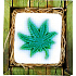 Bohemia Gifts Cannabis ručně vyráběné toaletní mýdlo v krabičce 80 g
