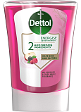 Dettol Płyn do mycia rąk leśne owoce, 250 ml