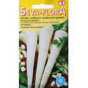 Seva - Flora Petržel kořenová Olomoucká dlouhá 4 g