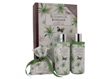 Bohemia Gifts Botanica Olej konopny żel pod prysznic 200 ml + szampon do włosów 200 ml + mydło toaletowe 100 g, kosmetyczny zestaw