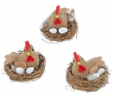 Kurczak w gnieździe brązowym 7 cm 1 sztuka
