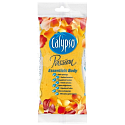 Calypso Passion Essentials Relax koupelová houba různé barvy 1 kus
