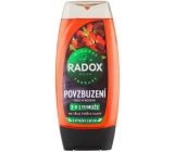 Radox Men 3w1 Pobudzenie Goji i kofeina żel pod prysznic dla mężczyzn 225 ml