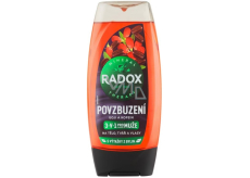 Radox Men 3w1 Pobudzenie Goji i kofeina żel pod prysznic dla mężczyzn 225 ml