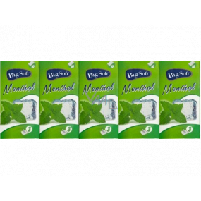 Big Soft Mentol kapesníky 3 vrstvé parfémované s vůní mentolu 10 x 10 kusů Big Soft Mentol kapesníky 3 vrstvé parfémované s vůní mentolu 10 x 10 kusů