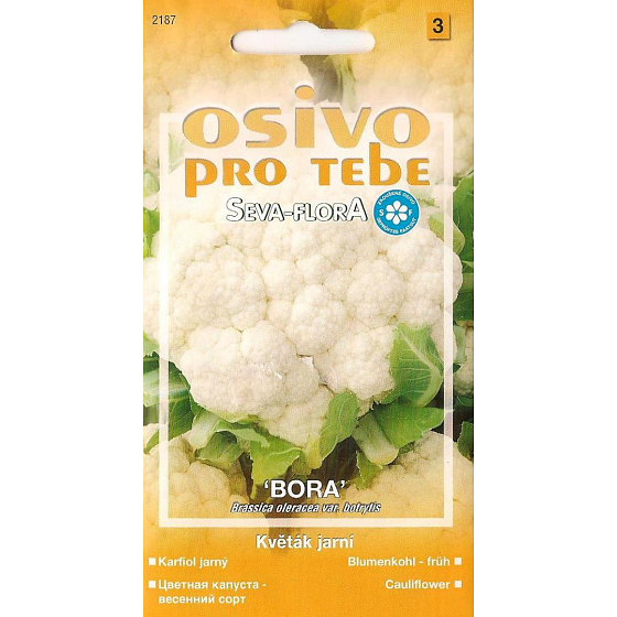 Seva - Flora Květák jarní raný Bora 0,4 g