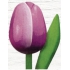 Bohemia Gifts Dřevěný tulipán fialovo-bílý 20 cm