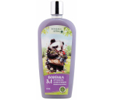 Bohemia Gifts Herbs Borówka 3w1 żel pod prysznic, szampon i piana do kąpieli dla dzieci 500 ml