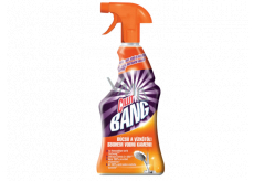 Cillit Bang Limescale & Shine przeciwko kamieni wodnemu i dla większego blasku 750 ml