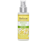 Saloos Woda miętowa 100% Bio pobudzający naturalny tonik do twarzy dla skóry tłustej i mieszanej 100 ml