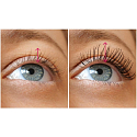 Bourjois Volume Glam Lift & Stretch tusz do rzęs 01 Black