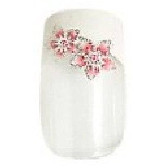 Diva & Nice Natureasy Nails Decorated nalepovací nehty čiré s bílo-růžovou aplikací 24 kusů + lepidlo 2 g