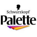 Schwarzkopf Palette Mousse Color Shake and color barva na vlasy 465 Čokoládově hnědý