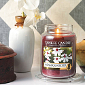 Yankee Candle Madagascan Orchid - Orchidej z Madagaskaru vonná svíčka Classic střední sklo 411 g