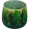Essences of Life Forest aromatická svíčka ve skle 100 g