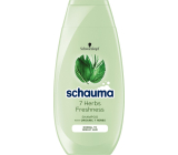 Schauma 7 Ziołowy szampon do włosów normalnych i tłustych 250 ml