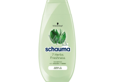 Schauma 7 Ziołowy szampon do włosów normalnych i tłustych 250 ml