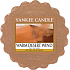 Yankee Candle Warm Desert Wind - Teplý pouštní vítr vonný vosk do aromalampy 22 g