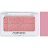 Catrice Defining Blush tvářenka 020 Rose Royce 5 g