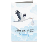 Kartka z życzeniami na narodziny dziecka Ćapka z niemowlęciem niebieska 115 x 170 mm