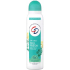 CD Feel Fresh Eukalyptus & Strohblume dezodorant w sprayu 150 ml