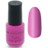 Regina Pastel rychleschnoucí lak na nehty 12 Tmavě fialová 4 ml