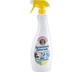 Chante Clair Chic Sgrassatore Limone Lemon uniwersalny odtłuszczacz 750 ml