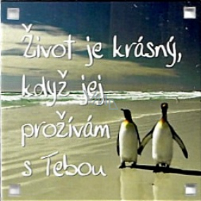 Albi Magnet Život je krásný, když jej prožívám s Tebou 6,5 x 6,5 cm